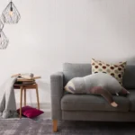 Nuffeldöns Faultier grau auf Couch